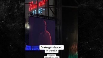 Drake Gets Booed At Limp Bizkit Concert After Fred Durst Introduction