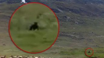 Bigfoot Purportedly Spotted in Resurfaced Documentary Clip, Running Among Caribou