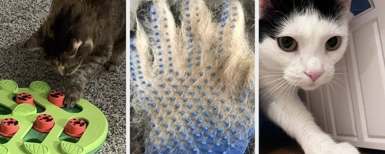 Calling All Cat Owners: Here Are 27 Products From Amazon With Impressive Results