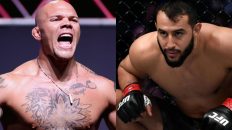 REPORT | Anthony Smith vs. Dominick Reyes booked for UFC 310