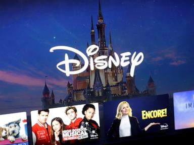 Wrongful death suit against Disney serves as a warning to consumers when clicking ‘I agree’