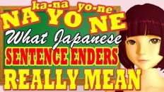 Sentence ender particles: real meanings and cultural implications: ne, yo. na, kana, yone.