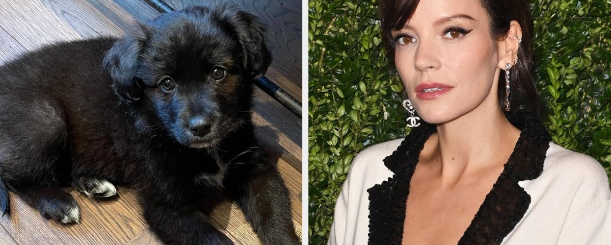 Lily Allen Admitted To Returning The Puppy She And David Harbour Adopted During COVID-19 After It Ate Her And Her Children’s Passports And “Ruined” Her Life