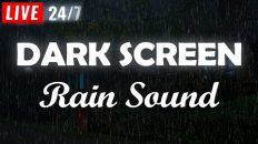 Rain sounds for sleeping BLACK SCREEN – Natural rain sounds for Relaxing, Sleeping, Studying