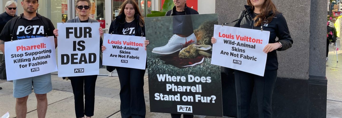 PETA Activists Protest Pharrell Williams ‘Piece By Piece’ Press Screening at Toronto Film Festival