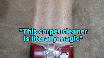 If You Have A Pet, You Probably Need One Of These Carpet Cleaners