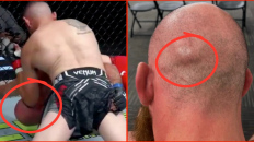 ‘This should be a no contest’… UFC fighter’s wife calls for first round KO loss to be overturned after ‘illegal elbow’